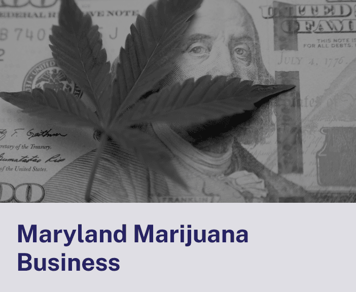 Maryland Marijuana Business.png