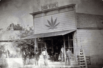 Maryland cannabis history
