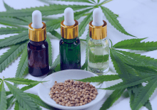 Maryland Active Medical Marijuana Patients in 2025.png