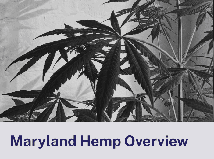 Maryland Hemp Overview.png
